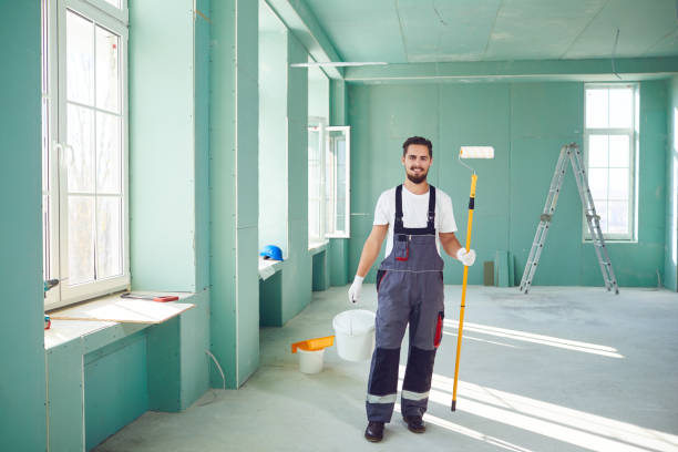 Best Black Mold Removal  in Breese, IL