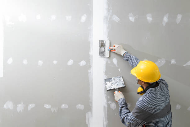Mold Remediation for Vacation Homes in Breese, IL