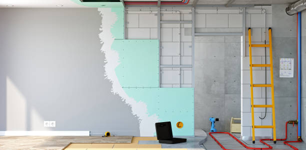 Best Mold Damage Restoration  in Breese, IL