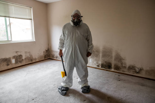Best Mold Remediation for Vacation Homes  in Breese, IL