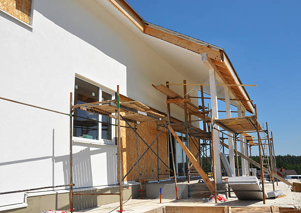 Breese, IL Mold Removal Company