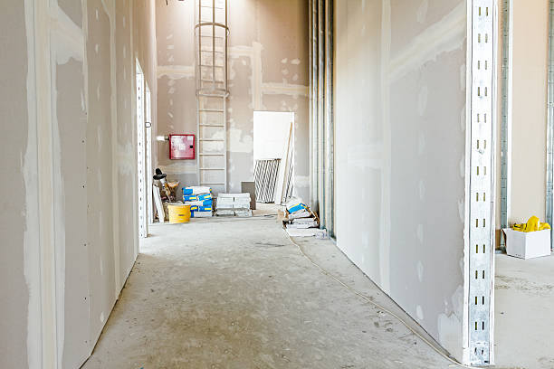 Best Forensic Mold Investigation  in Breese, IL
