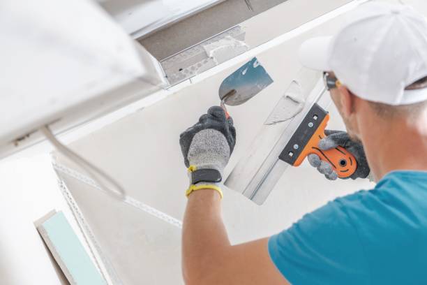 Best Crawl Space Mold Remediation  in Breese, IL